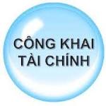 CÔNG KHAI THỰC HIỆN DỰ TOÁN THU-CHI NGÂN SÁCH 6 THÁNG ĐẦU NĂM 2025